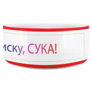 Angrys russian dog Dina bowl