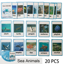 Load image into Gallery viewer, Children Baby English Learning Word Card Pocket Flash  Learning Montessori Educational Toys Word Table Game Card for kids