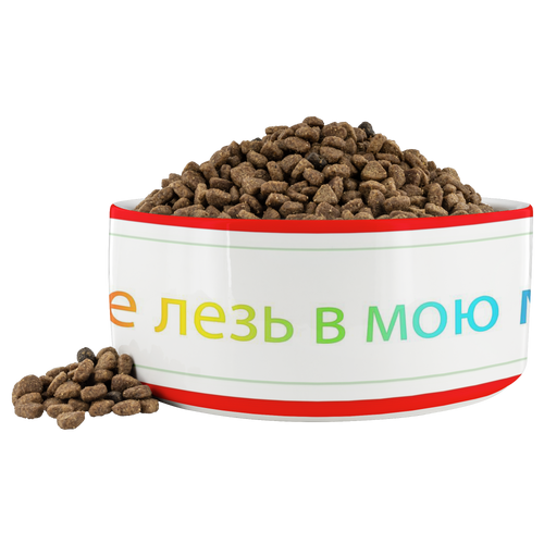 Angrys russian dog Dina bowl