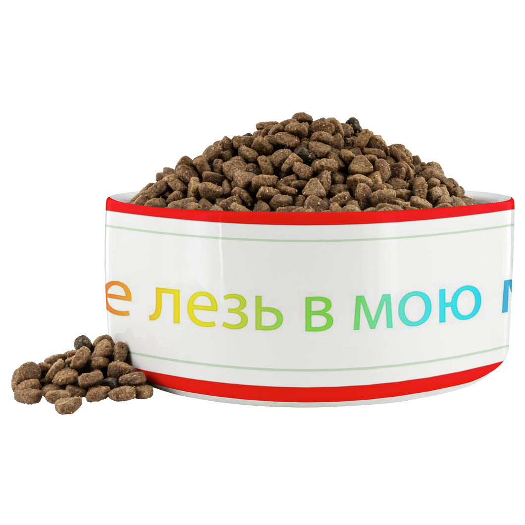 Angrys russian dog Dina bowl
