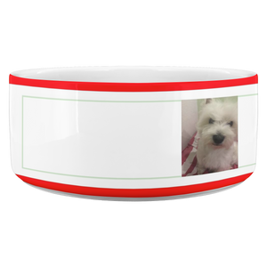 Angrys russian dog Dina bowl